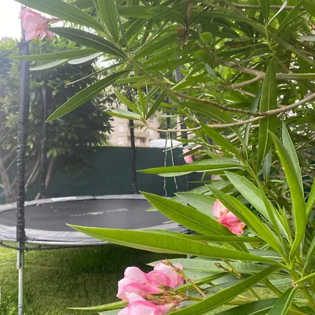 La Choza Villa *